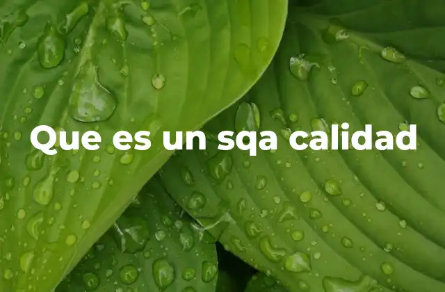 Que es un Sqa Calidad