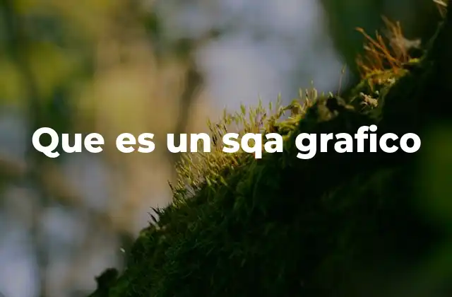 Que es un Sqa Grafico