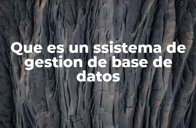 Que es un Ssistema de Gestion de Base de Datos