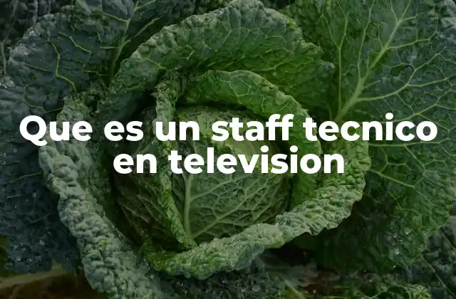 Que es un Staff Tecnico en Television
