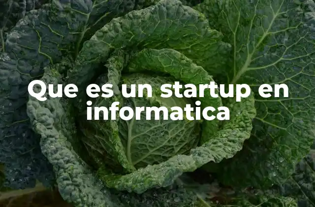 Que es un Startup en Informatica