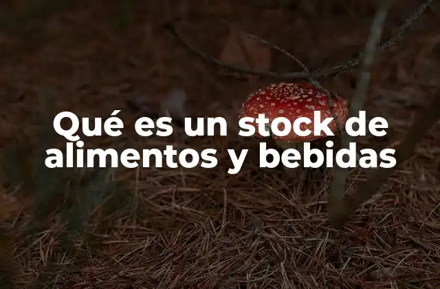 Qué es un Stock de Alimentos y Bebidas