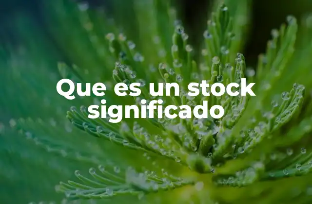 Que es un Stock Significado