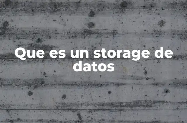 Que es un Storage de Datos