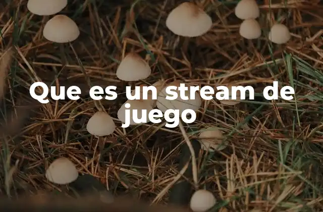 Que es un Stream de Juego