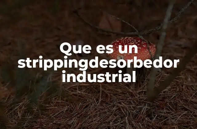 Que es un Strippingdesorbedor Industrial