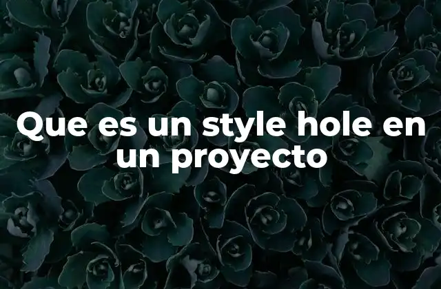 Que es un Style Hole en un Proyecto