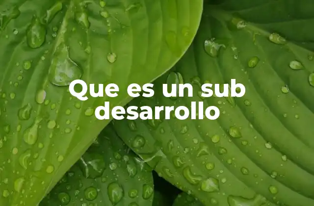 Que es un Sub Desarrollo