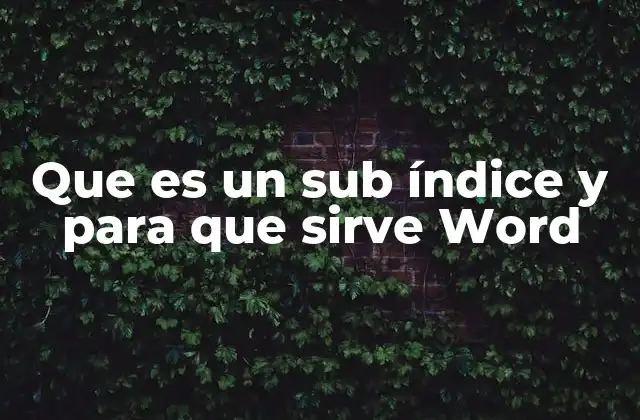 Que es un Sub Índice y para que Sirve Word