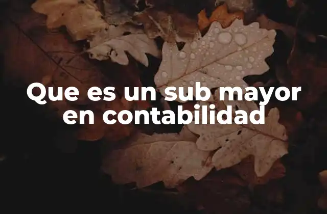 Que es un Sub Mayor en Contabilidad