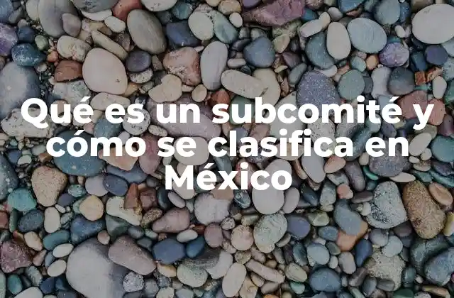 Qué es un Subcomité y Cómo Se Clasifica en México
