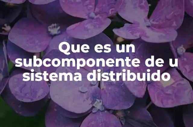 Que es un Subcomponente de u Sistema Distribuido