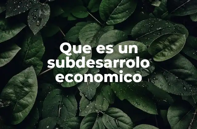Que es un Subdesarrolo Economico