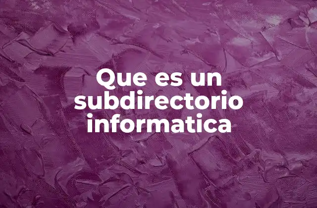 Que es un Subdirectorio Informatica