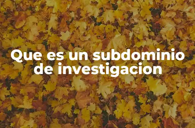 Que es un Subdominio de Investigacion