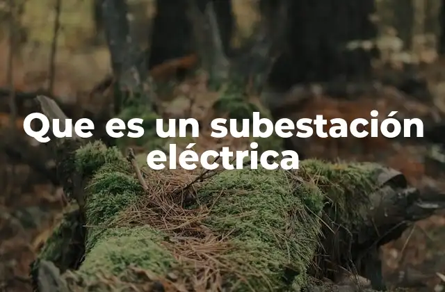 Que es un Subestación Eléctrica