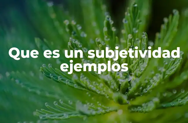 Que es un Subjetividad Ejemplos