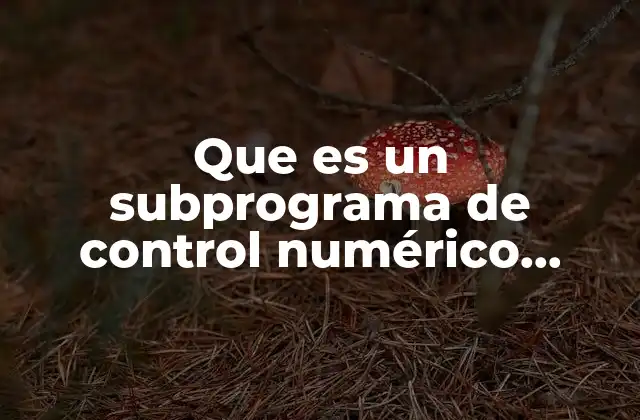 Que es un Subprograma de Control Numérico Computarizado