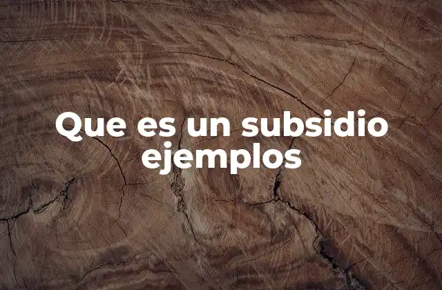 Que es un Subsidio Ejemplos