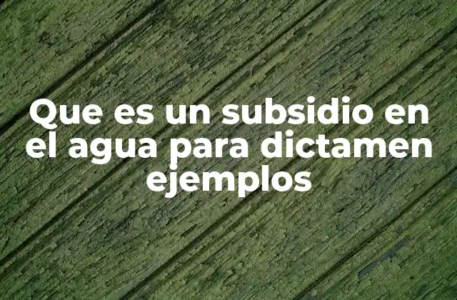 Que es un Subsidio en el Agua para Dictamen Ejemplos