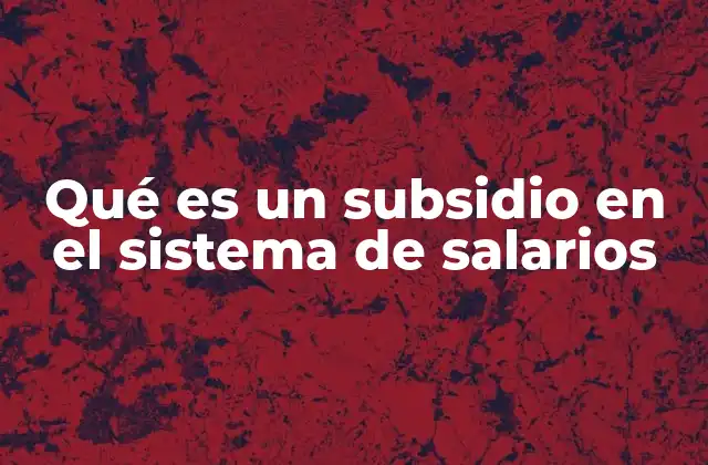Qué es un Subsidio en el Sistema de Salarios