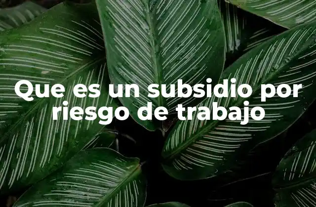 Que es un Subsidio por Riesgo de Trabajo