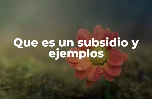 Que es un Subsidio y Ejemplos