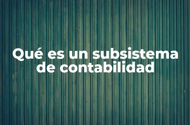 Qué es un Subsistema de Contabilidad