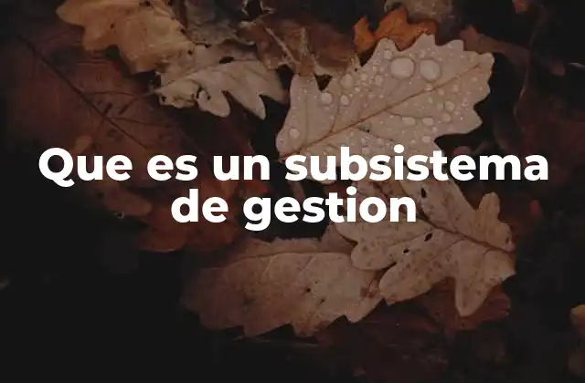 Que es un Subsistema de Gestion