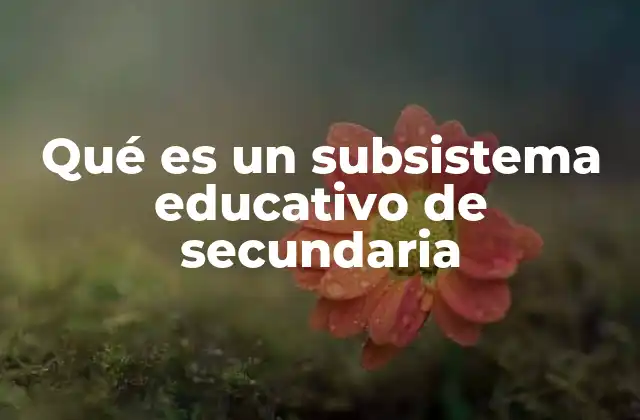 Qué es un Subsistema Educativo de Secundaria