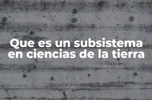 Que es un Subsistema en Ciencias de la Tierra