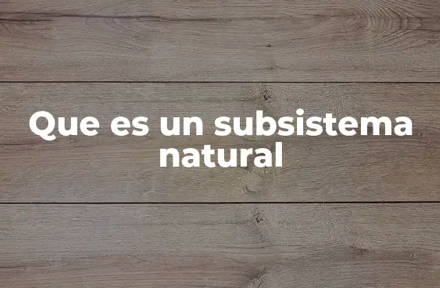 Que es un Subsistema Natural