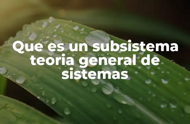 Que es un Subsistema Teoria General de Sistemas