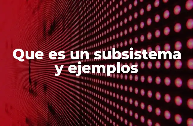 Que es un Subsistema y Ejemplos