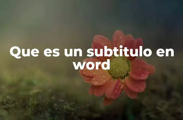 La importancia de la jerarquía en los subtítulos