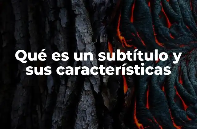 Qué es un Subtítulo y Sus Características