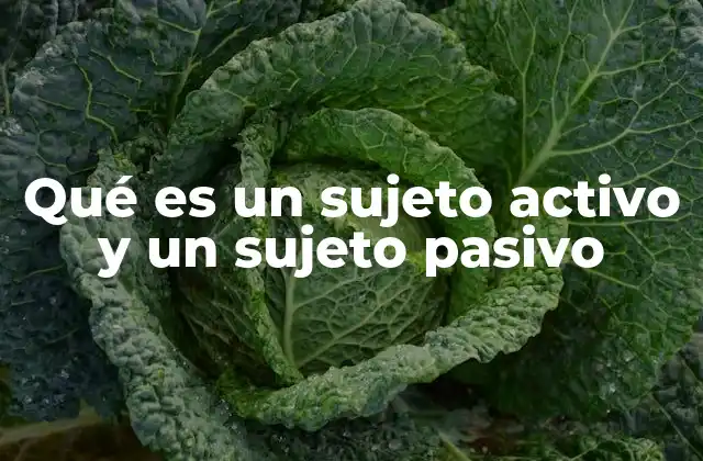 Qué es un Sujeto Activo y un Sujeto Pasivo