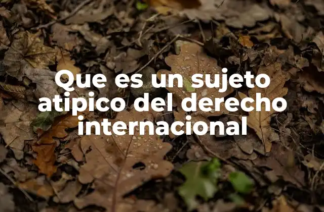 Que es un Sujeto Atipico Del Derecho Internacional