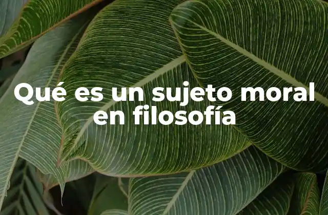 Qué es un Sujeto Moral en Filosofía