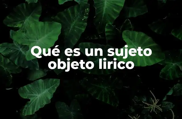 Qué es un Sujeto Objeto Lirico