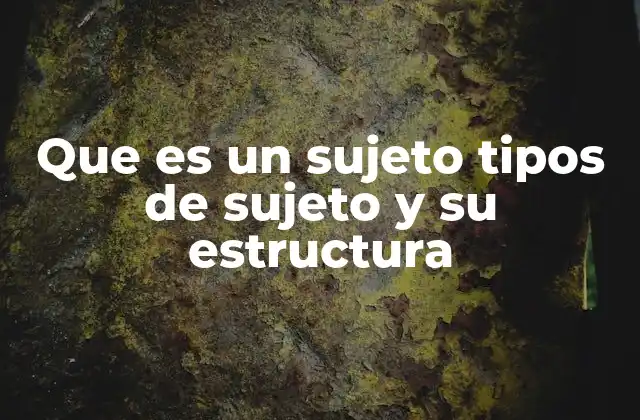 Que es un Sujeto Tipos de Sujeto y Su Estructura
