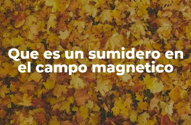 Que es un Sumidero en el Campo Magnetico