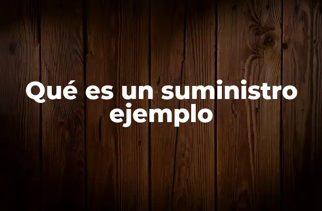 Qué es un Suministro Ejemplo