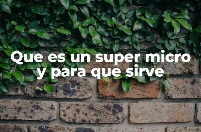 Que es un Super Micro y para que Sirve