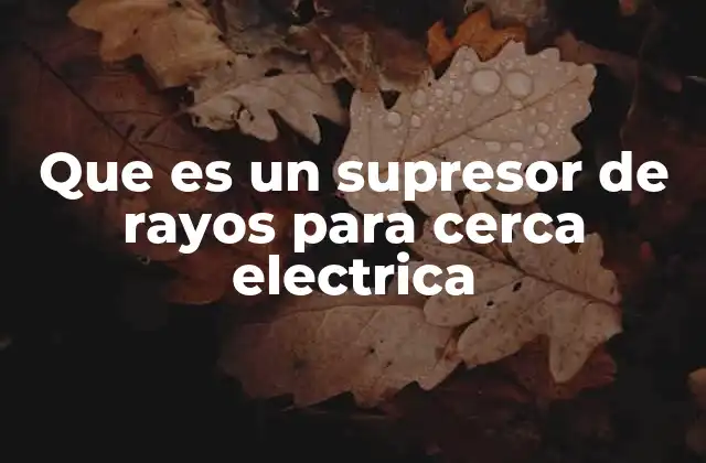 Que es un Supresor de Rayos para Cerca Electrica