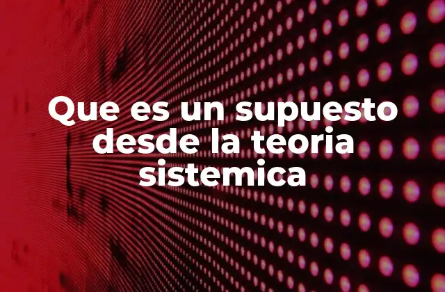 Que es un Supuesto desde la Teoria Sistemica