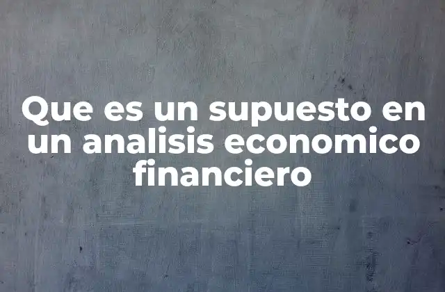 Que es un Supuesto en un Analisis Economico Financiero