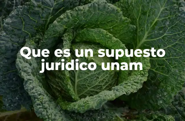 Que es un Supuesto Juridico Unam