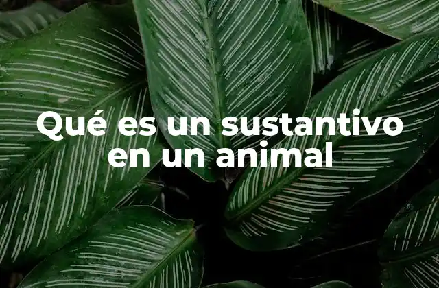 Qué es un Sustantivo en un Animal