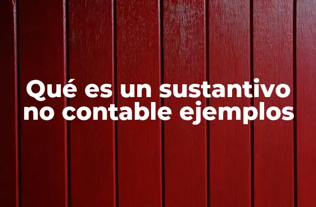 Qué es un Sustantivo No Contable Ejemplos